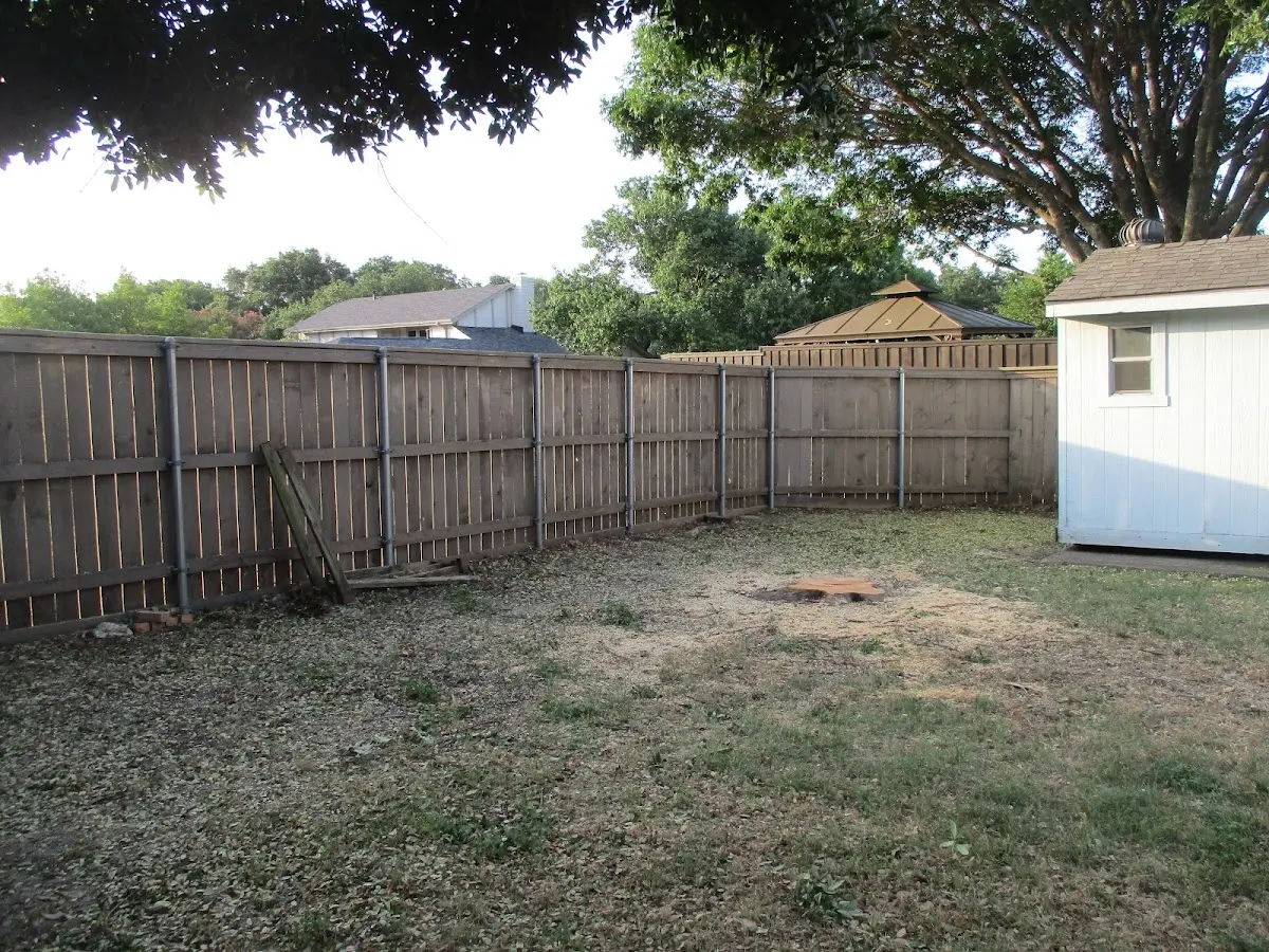 Cleared yard after professional tree removal in Grass Valley